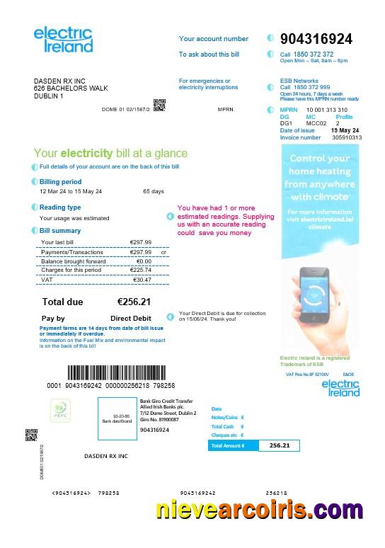 Ireland Electric Ireland business utility bill